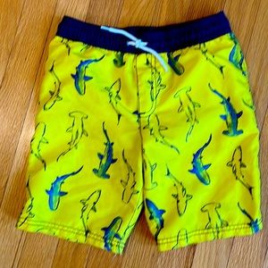 Boys Carters Swim Trunks
